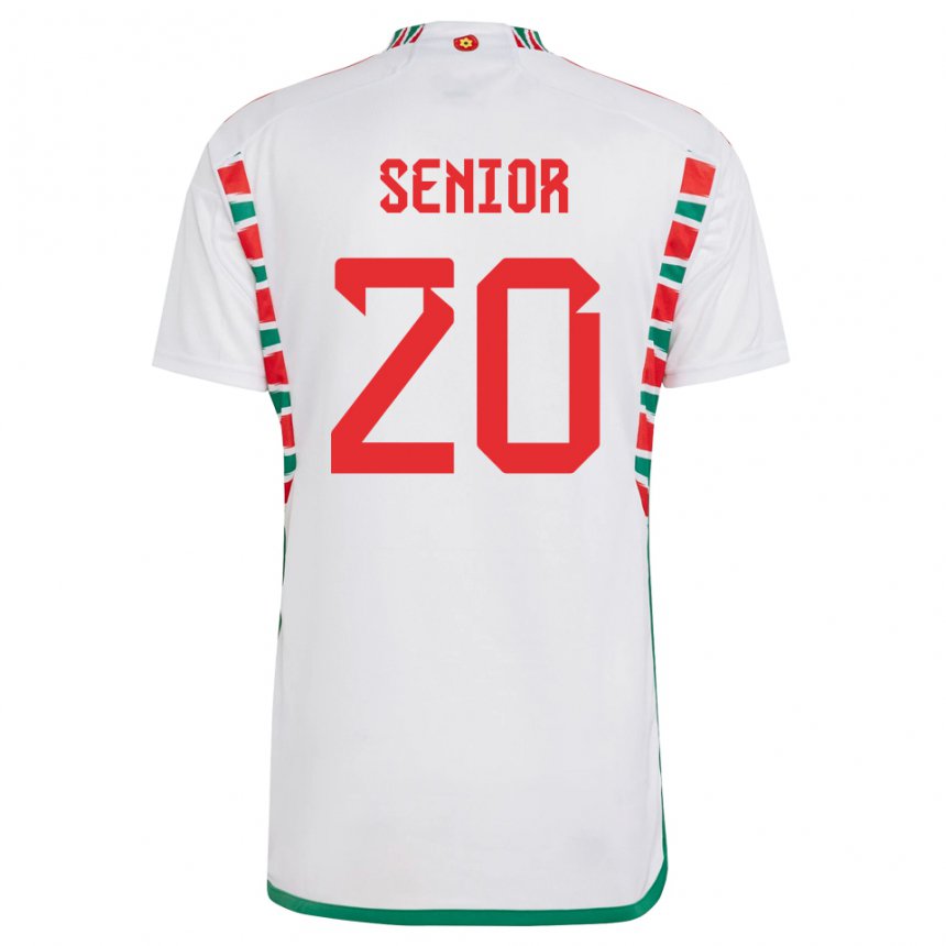 Bambino Maglia Galles Matt Senior #20 Bianco Kit Gara Away 22-24 Maglietta