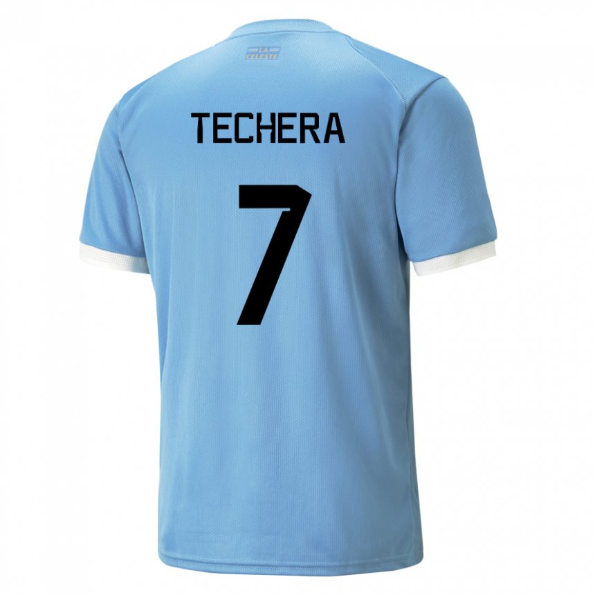 Uomo Maglia Uruguay Facundo Techera #7 Blu Kit Gara Home 22-24 Maglietta