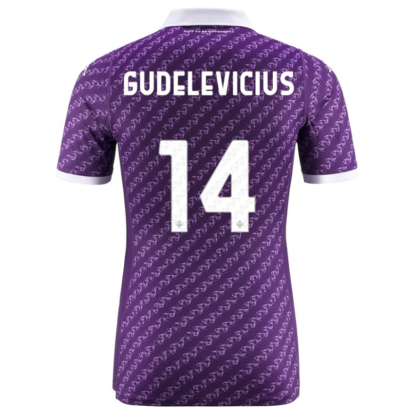 Donna Maglia Ernestas Gudelevicius #14 Viola Kit Gara Home 2023/24 Maglietta