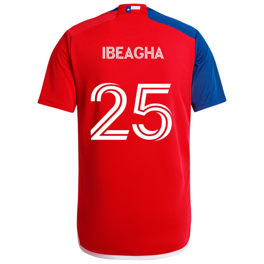 Bambino Maglia Sebastien Ibeagha #25 Blu Rosso Kit Gara Home 2024/25 Maglietta