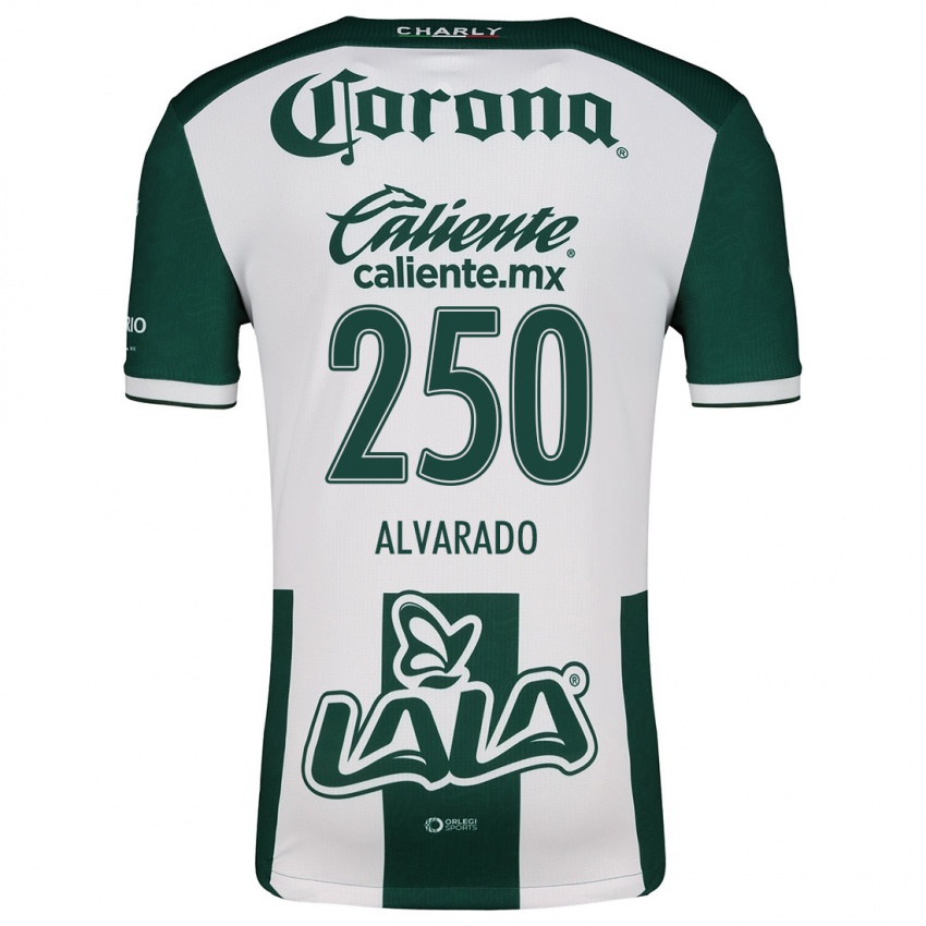 Bambino Maglia Edwin Alvarado #250 Verde Bianco Kit Gara Home 2024/25 Maglietta