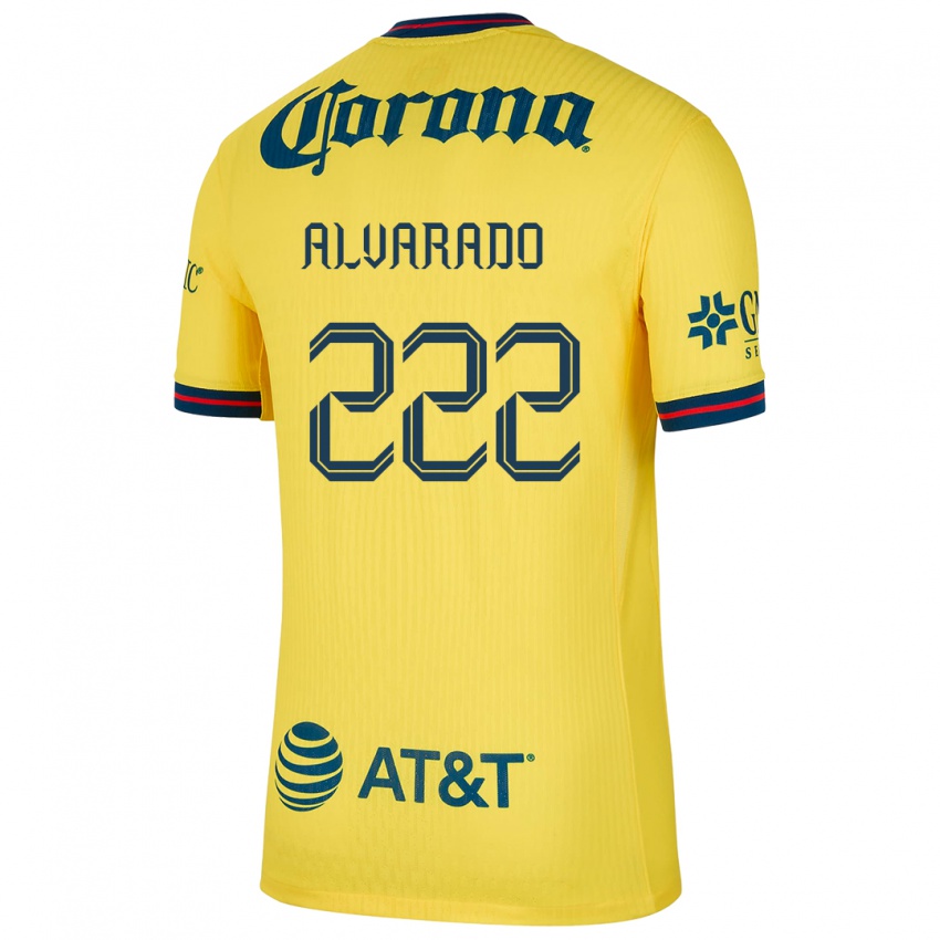 Bambino Maglia Daniel Alvarado #222 Giallo Blu Kit Gara Home 2024/25 Maglietta