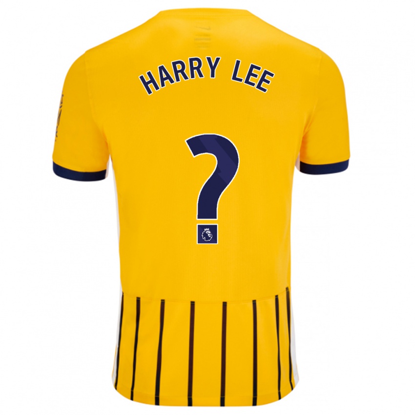 Bambino Maglia Harry Lee #0 Oro Blu A Righe Sottili Kit Gara Away 2024/25 Maglietta