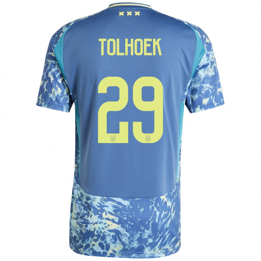 Uomo Maglia Danique Tolhoek #29 Grigio Blu Giallo Kit Gara Away 2024/25 Maglietta