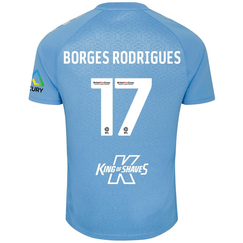 Bambino Maglia Raphael Borges Rodrigues #17 Blu Bianco Kit Gara Home 2024/25 Maglietta