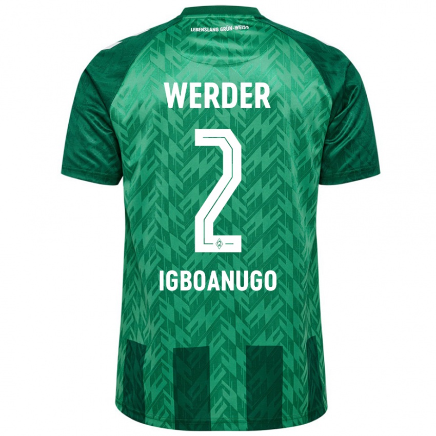 Bambino Maglia David Igboanugo #2 Verde Kit Gara Home 2024/25 Maglietta