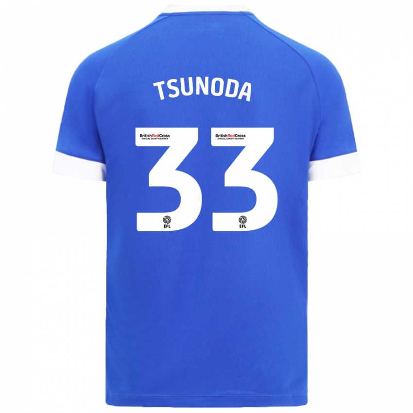 Uomo Maglia Ryotaro Tsunoda #33 Azzurro Kit Gara Home 2024/25 Maglietta