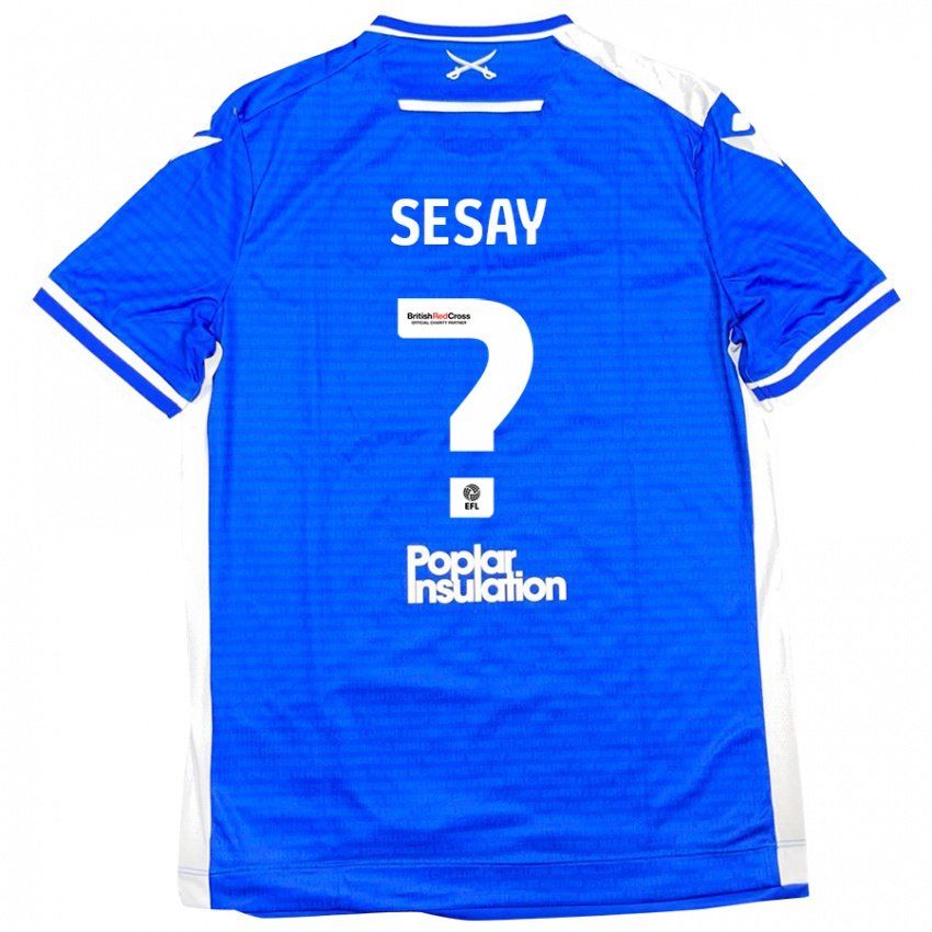 Bambino Maglia Malik Sesay #0 Blu Bianco Kit Gara Home 2024/25 Maglietta